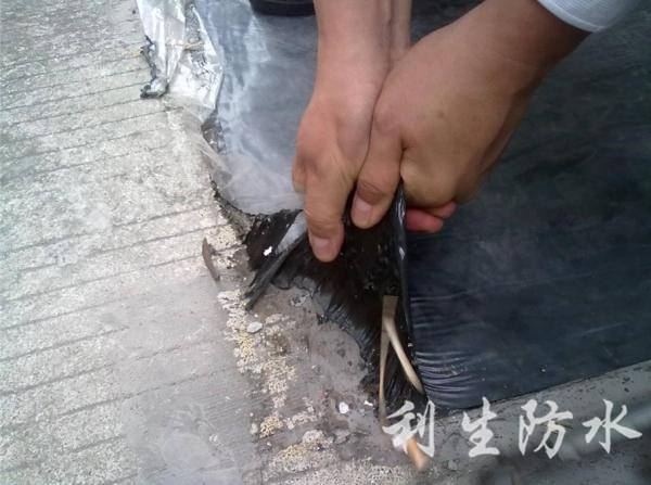 屋面做好的防水卷材撕不爛