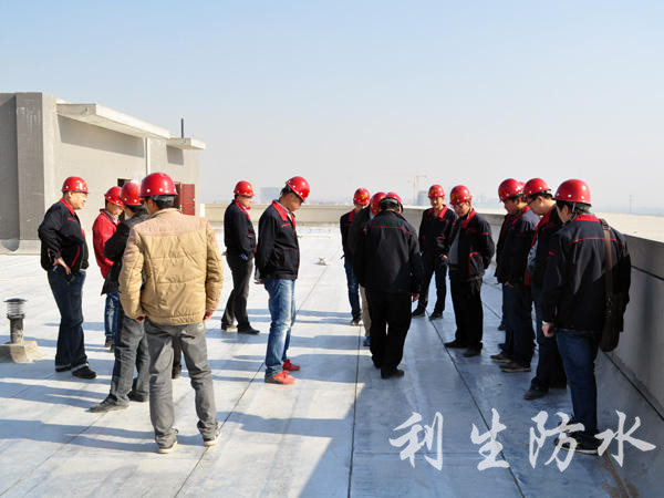 項目部負責人檢查卷材施工質(zhì)量03